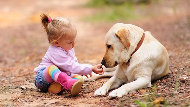 Criança com cachorro