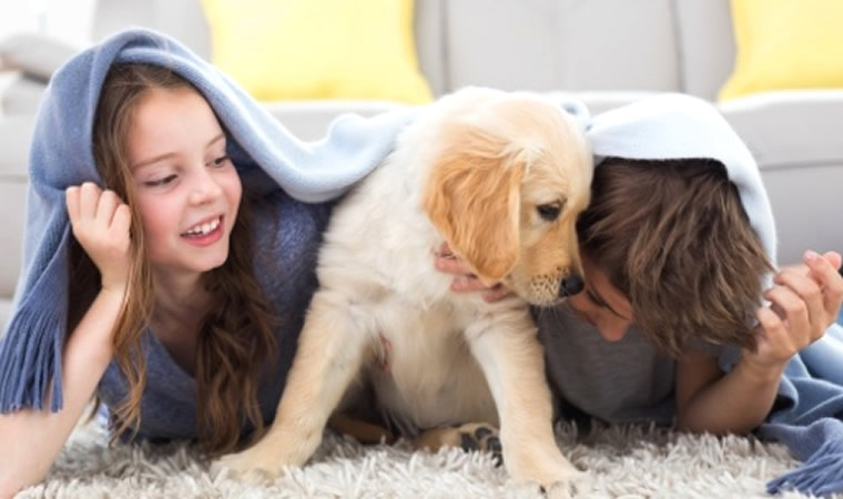 Crianças brincando com cachorro