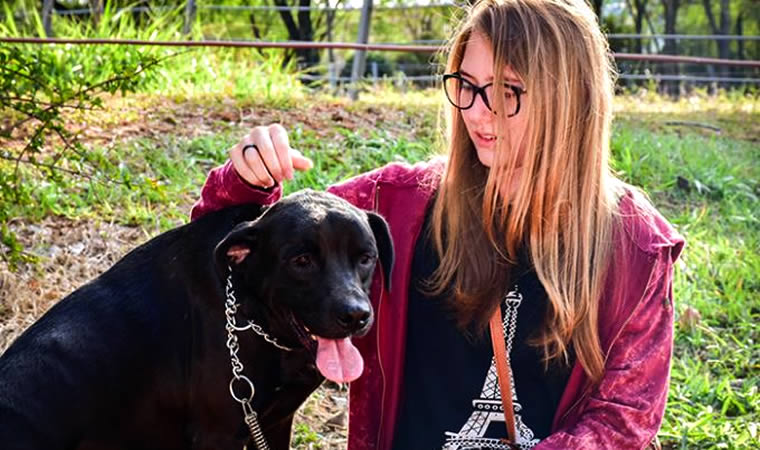 Cachorro sentado recebendo carinho