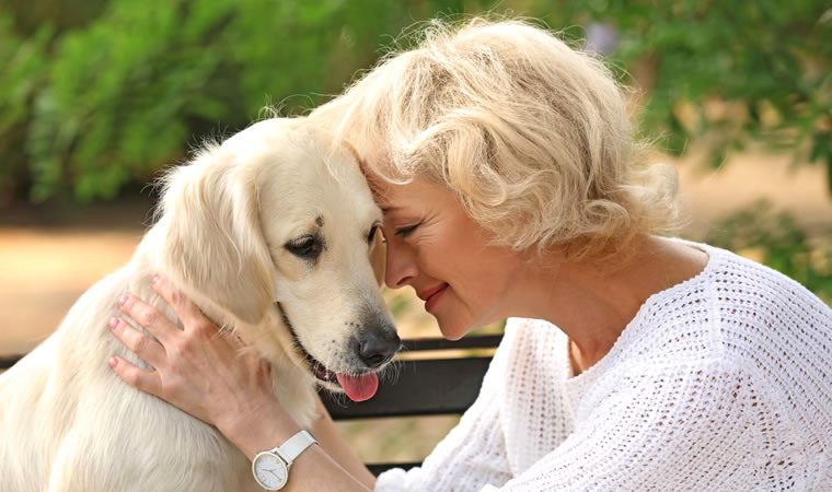 Cão recebendo abraço