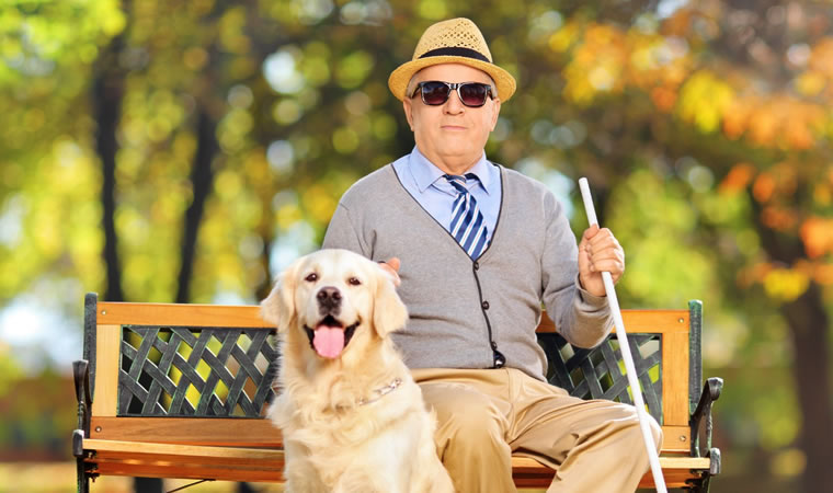 Homem sentado com seu cão guia