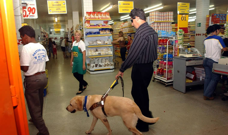 Pessoa com cão guia no mercado