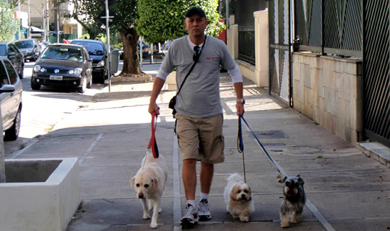 Dog walker