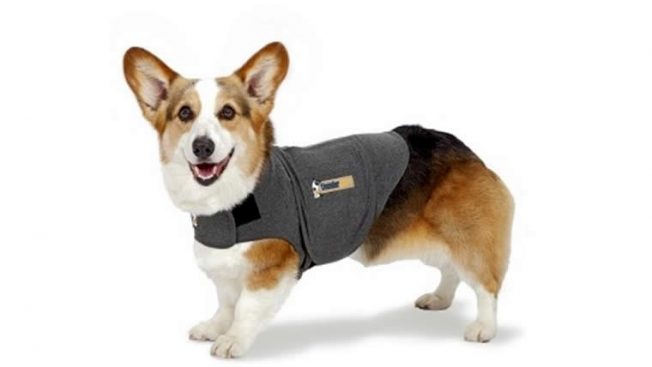 Thundershirt camiseta calmante